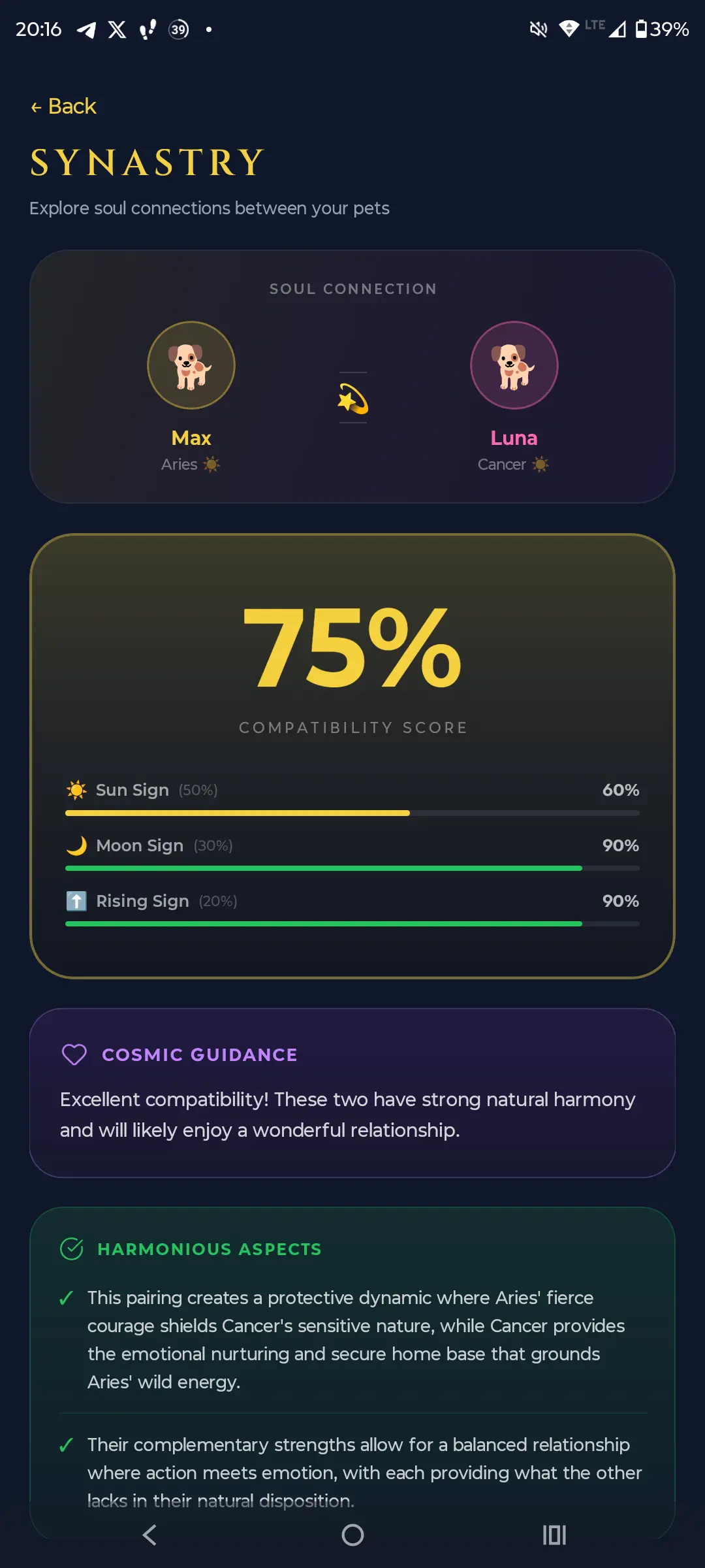 Aetris Synastry - 75% soul compatibility score between pets