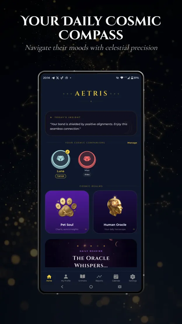 Aetris Pet Soul Portal screen