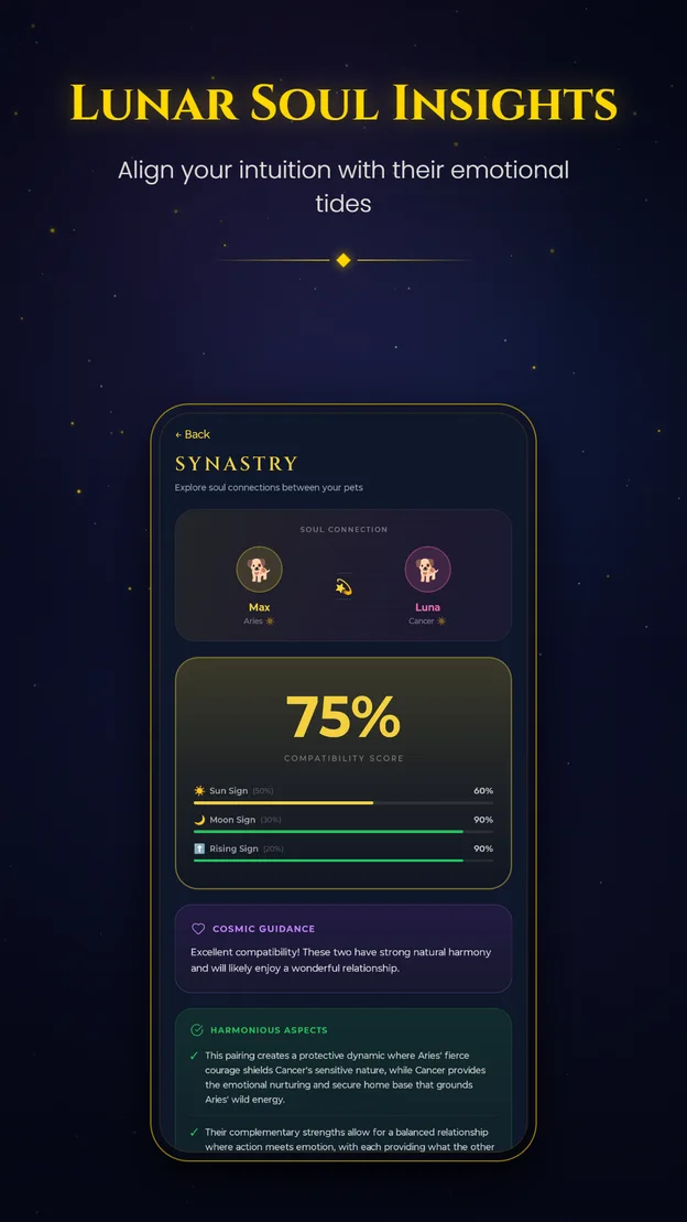 Aetris Synastry screen — a soul connection reading between two charts with a compatibility score