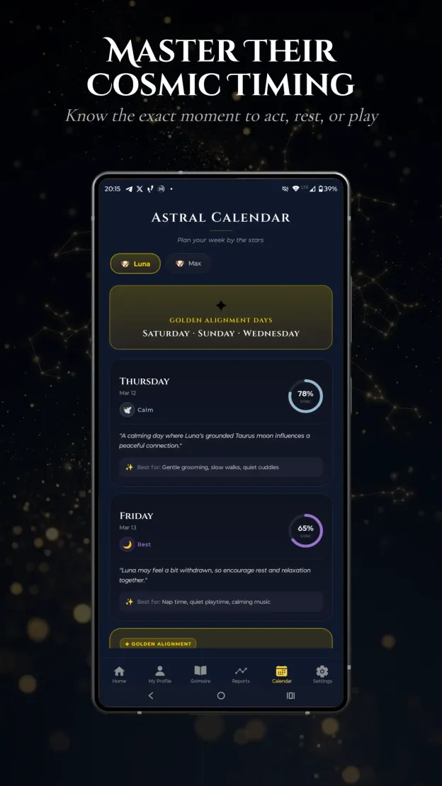 Aetris app - Decode Their Energetic Signature Body-Soul Map