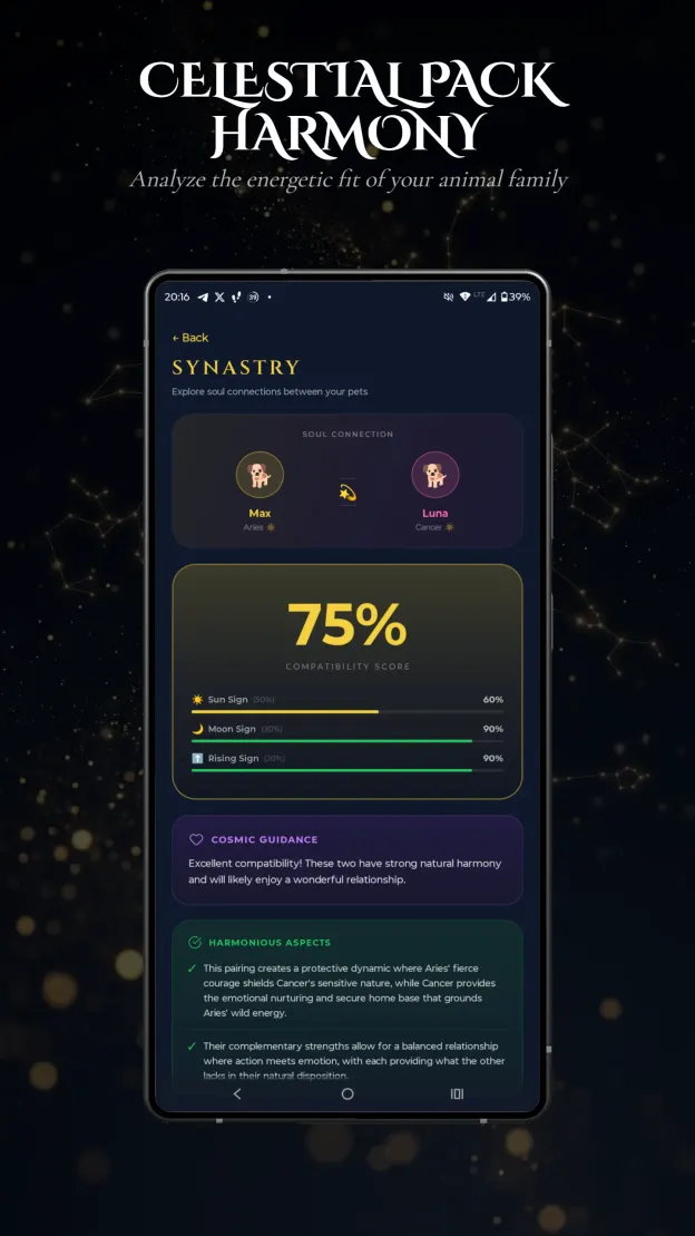 Aetris app - Celestial Pack Harmony - Synastry between pets